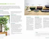 Bonsai ogrodowe w Polsce: Mrozoodporne gatunki i sekrety pielęgnacji