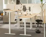 Postes de travail réglables en hauteur, favorisant l'ergonomie de bureau. Des écrans, lampes et chaises de bureau modernes sont disposés sur des bureaux en bois clair.