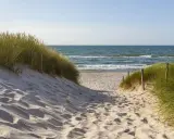 Piaskowa ścieżka prowadzi na plażę. Kiedy najlepiej jechać nad morze po jod? Wiosna i jesień to idealne pory roku.