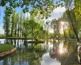 Un'isola verde con un salice piangente al centro, riflessa in un lago tranquillo. Un angolo di pace in Umbria, tra curiosità sull'acqua e natura rigogliosa.
