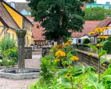 En vacker innergård i Lund utomhus med gula hus, en gammal fontän och blomstrande växter.