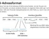 Der IPv6-Aufbau zeigt, wie ein Präfix Subnetze bestimmt. Ein /56-Präfix ermöglicht 256 Subnetze.