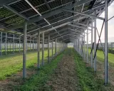 Reihe von Metallpfosten trägt eine agri-pv unterkonstruktion für Solarmodule. Die Struktur ist auf einem Feld mit Gras und Unkraut aufgebaut.