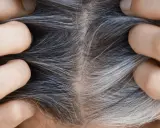 Nahaufnahme von grauen Haaren, die zeigen, ab wann man graue Haare bekommt. Hände trennen das Haar, um die Ansätze zu zeigen.