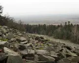 Kamieniste zbocze, las i widok na dolinę. Tak właśnie wyglądają góry świętokrzyskie.