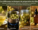 Infusion, décoction, macération et extraction du tilleul pour en tirer tous ses bienfaits.