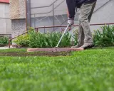 A person rakes soil to fix a bumpy lawn, preparing the ground for new grass.