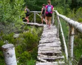 Tres mujeres disfrutan de las rutas senderismo Zamora, cruzando un puente rústico de madera entre vegetación frondosa.