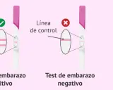 Test de embarazo positivo: dos líneas indican que estoy embarazada. Negativo: una línea. Inválido: sin líneas.