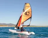 Un catamaran berny cat navigue sur une mer bleue, avec une voile orange et noire portant le numéro 42.