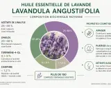 Composition de l'huile essentielle de lavande vraie, ses bienfaits apaisants, purifiants et relaxants. Plus de 100 composés identifiés.