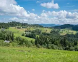 Zielone wzgórza Beskidu Wyspowego, pełne drzew i domków, pod błękitnym niebem z białymi chmurami.