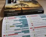 Listopad w USA: kalendarz z motywem świecy i anioła, poświęcony Duszom Czyśćcowym.