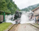 Parowóz z wagonami na tle lasu, tłum ludzi czeka na przejażdżkę. Bieszczady atrakcje dla dzieci to podróż w czasie!