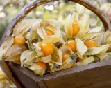 Un panier en bois rempli de physalis, leurs lanternes sèches révélant des fruits orange vifs. La plante physalis est prête à être récoltée.