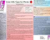 Erste Hilfe bei einem **unfall pferd**: Stark blutende Verletzungen erfordern schnelles Handeln. Hier Tipps zur Blutstillung und Wundversorgung.
