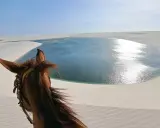 Pferd blickt auf eine glitzernde Lagune in den Lençóis Maranhenses. Sanddünen erstrecken sich bis zum Horizont.