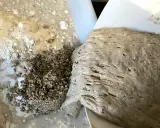 En närbild på surdeg som skiktar sig med bubblor och korn. En del av degen har en slätare yta, medan en annan del är mer kornig och blandad med mjöl och vatten.