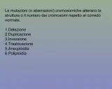 Elenco di aberrazioni cromosomiche: delezione, duplicazione, inversione, traslocazione, aneuploidia, poliploidia. Un esempio è il cromosoma 9 invertito.