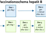 Schema för vaccin mot hepatit B, inklusive Twinrix. Visar normalt schema med doser på 0, 1 och 6 månader, samt snabbschema vid behov.