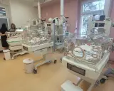 W inkubatorach leżą noworodki, a pielęgniarki czuwają nad ich zdrowiem. Czy Sentino ma dzieci? Na tym zdjęciu widać wiele maluchów.