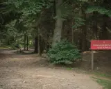 Leśna ścieżka w Parku Krajobrazowym Gór Sowich. Czerwony znak informuje o trasie.