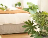 Grüne Zimmerpflanzen, die die Luft reinigen, schmücken ein Schlafzimmer mit einem Bett und einer Decke in warmen Erdtönen.