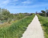 Sentiero ghiaioso della ciclovia del Savio, fiancheggiato da erba verde e fiori gialli, con un fiume sulla sinistra e case in lontananza.