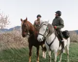 Jazda konna Bieszczady: Stadniny, rajdy, ceny. Twój przewodnik