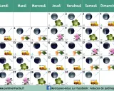 Calendrier lunaire du jardinier. Ce calendrier indique les phases lunaires et les jours propices pour planter fruits, légumes ou fleurs.