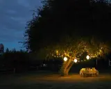 Wieczorna atmosfera pod drzewem, gdzie wisi lampa balonik i girlanda światełek. Stół z krzesłami czeka na gości.