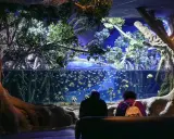 Besucher bestaunen im Aquarium Sevilla eine Welt voller bunter Fische, umgeben von üppiger Vegetation und beeindruckenden Baumstämmen.