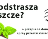 Kleszcze: Jak się chronić? Skuteczne metody dla ludzi i zwierząt