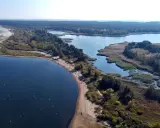 Malownicze ujście Wisły z piaszczystą plażą, lasem i spokojnymi wodami, gdzie pływają ptaki.