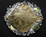 Ein ganzer Butt Fisch liegt auf Eis, garniert mit Zitronen- und Limettenspalten.