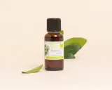 Flacon de baume de copahu, une oléorésine naturelle aux vertus calmantes et apaisantes, entouré de feuilles vertes.