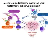 Schema di terapie innovative per malattie autoimmuni. Illustra come le cellule B e T, mediatori infiammatori e citochine causano danno tissutale, spiegando il significato di autoimmune.
