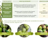 Aceite de oliva, un aceite vegetal, se clasifica por su obtención y acidez. Se muestran variedades como Picual, Hojiblanca y Arbequina.