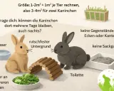 Zwei Kaninchen, ein helles und ein dunkles, sitzen nebeneinander. Sie jagen sich nicht, sondern erkunden ihr Gehege mit Futter, Wasser und einer Toilette.