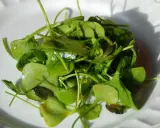 Salade de claytone de Cuba, fraîche et croquante, assaisonnée d'épices.