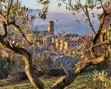 Un borgo medievale in Umbria, dove andare per un viaggio indimenticabile tra ulivi secolari e colline dolci.