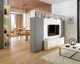 Aménagement salon TV moderne avec séparation de pièces, étagères et mobilier épuré.