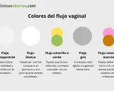Flujo transparente, blanco, amarillo/verde, gris y rosado/marrón. El flujo transparente, como una regla con moco, suele ser normal.