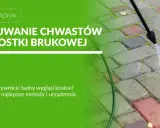 Myjka ciśnieniowa usuwa chwasty z kostki brukowej, przywracając jej estetyczny wygląd.