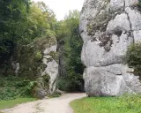 Kamieniste ścieżki w Ojcowski Park Narodowy prowadzą między wapiennymi skałami porośniętymi mchem i zielenią.