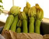 Un panier rempli de courgettes trompette d'Albenga, leurs fleurs encore attachées, prêtes à être cuisinées.
