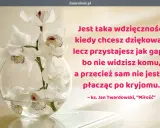 Białe orchidee w szklanej kuli. Cytat ks. Jana Twardowskiego o wdzięczności. Jan Lechicki aforyzmy alfabetycznie.