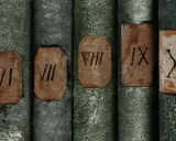 Alte Bücher mit grünen Einbänden, auf denen die lateinischen Zahlen VI, VII, VIII, IX und X stehen.