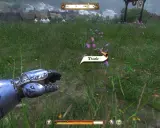 Wskazówka do Kingdom Come Deliverance: zbierz osty, by tworzyć mikstury.