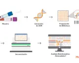 Proceso de NGS medicina: muestra, extracción de ADN, preparación de biblioteca, secuenciación y análisis bioinformático.